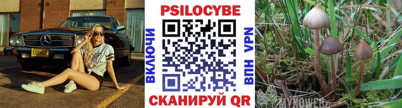 Псилоцибиновые грибы Psilocybe  Купить где  Отрадный 
